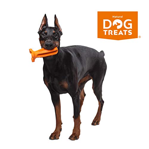 image for Natural Dog Treats Toothbrush Stick and Toothpaste Beef Flavor Dental 