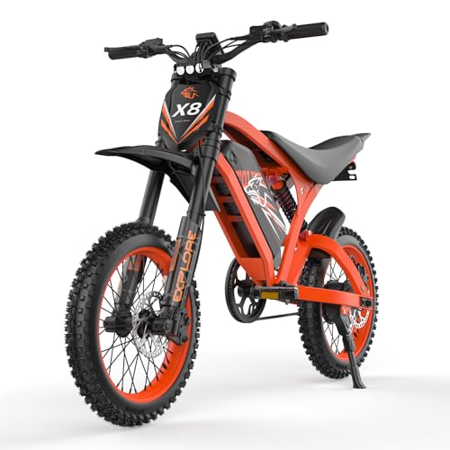 Mirtholyn T300 Electric Dirt Bike