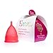Anigan EvaCup (Made in USA) - Blizzard Blue Menstrual Cup ~ 100% MONEY BACK GUARANTEE (Large, Rose)
