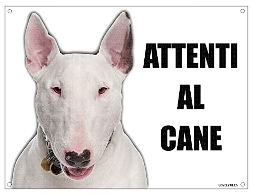 BULL TERRIER attenti al cane mod 1 TARGA cartello