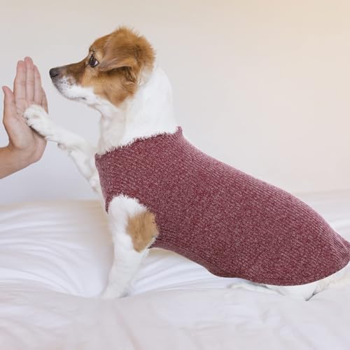 Hundeshirt für Mittelgroße Hunde | Sommer Hund T-Shirt Atmungsaktiv & Leicht | Weich & Bequem, Rundhals Design | Hunde Bekleidung | Schlank Französische Bulldogge, Beagle (Rot L)