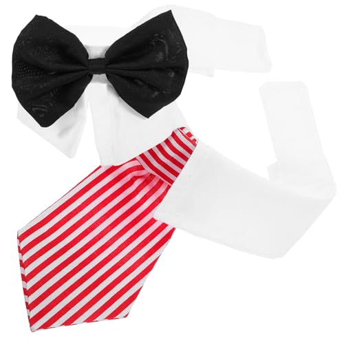 DECOMELODY ߉\ȃybglN Lpꑕ yʒʋC Kȓ킨уp[eB[pANZT[