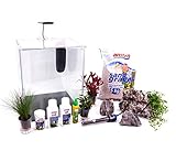 Maße 30x30x35 cm Amtra Technik Nanotank Cubo System 30 Aquarium Komplettaquarium Innenfilter LED Beleuchtung Glasbecken Nano Inkl. Dekoration
