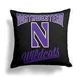 Northwest NCAA Northwestern Wildcats Alumni Double-Sided Printed Throw Pillow, Soft Decorative Polyester Fan Cushion, Couch Bed or Game Room Decor, 18 x 18 in