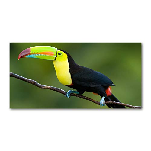 Toile 120x60 cm Animaux Multicolore Toucan pour decoration murale
