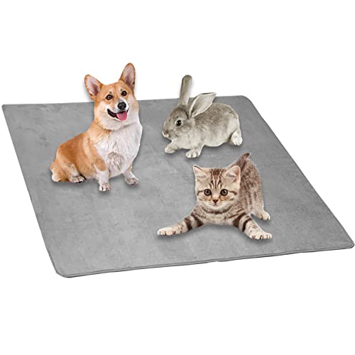 Find the Best NonSlip Flooring for Rabbits A Guide to Keeping Your