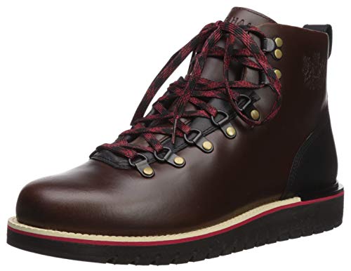 Cole Haan Men's Grand Explorer Alpine Hiker Waterproof Hiking Boot, dark coffee wp, 10.5 M US