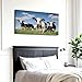 Canvas Wall Art black white cows green grassy meadow under blue sky amersfoort holland Wooden Framed Artwork Easy to Hang Wall Decor for Kitchen Bathroom 20 x 40 inch