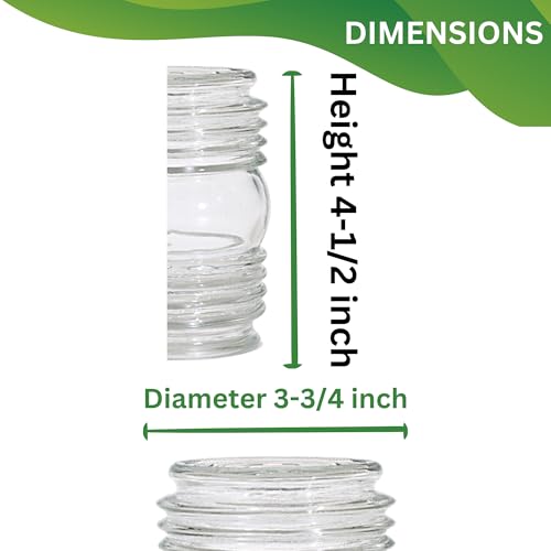 Satco 50-114 Clear Porch Glass Shade, 3-3/4" Diameter, 4-1/2" Height, 3-1/4" Fitter, Clear Glass, Replacement Globe for Outdoor Porch Lights, Wall Sconces, Pendant Fixtures, and Post Lanterns (2 Pack) by Satco - Used condition - Image 4