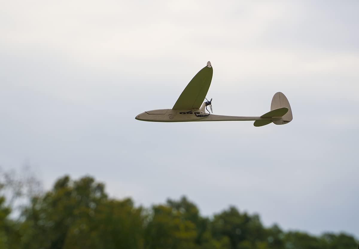 0.6M Balsa Electric Glider Sparrow Need to Build for Adults (F0607-154E)