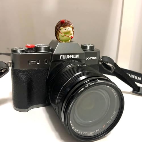 Image of Camera Hot Shoe Cover, Cute Hot Shoe Cap, Hot Shoe Protector Compatible with Sony Fujifilm Fuji Canon Nikon Pentax Leical Panasonic (2pcs Hedgehog)