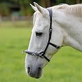 kappzaum leder warmblut Farbe: Schwarz Heinick-Reitsport Französicher Profi Leder KAPPZAUM ~ Cavecon Cavesson ~ Schwarz WB VB Kappzaumgröße Warmblut/Full
