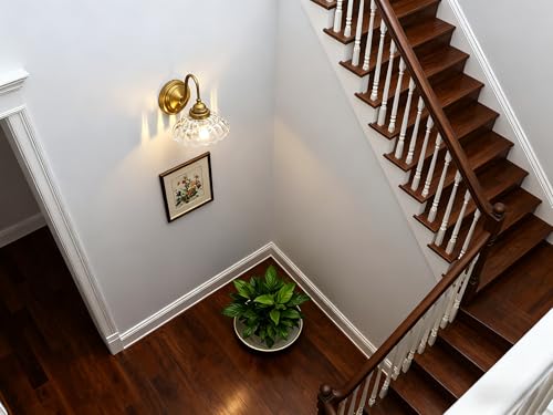 Image of Phansthy Antique Brass Wall Sconce Hardwired, Gooseneck 1-Light Single Vanity Wall Light with Umbrella-Shaped Clear Glass Shade, Wall Lamp for Bedroom Bedside Kitchen Hallway (Antique Gold)