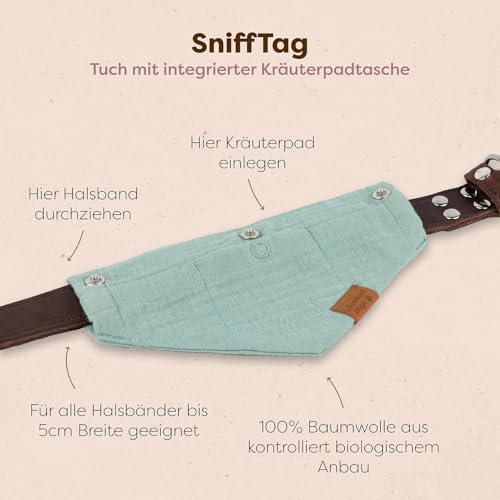 Löwenkind Dogs 100% natürliche Pads für Reiseübelkeit Hunde - wirkungsvolle Entspannung bei Autofahrten (Set mit 6 Kräuterpads und SniffTag, Travel-Pads bei Reiseübelkeit)