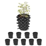 RooTrimmer 1 Gallon Air Pruning Containers, New Plastic Nursery Pots, Fruit Vegetable Garden Self-Planting Pots, Black (1G-10P)