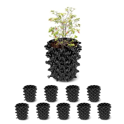 RooTrimmer 1 Gallon Air Pruning Containers, New Plastic Nursery Pots, Fruit Vegetable Garden Self-Planting Pots, Black (1G-10P)