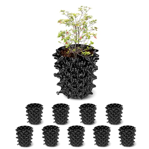 RooTrimmer 1 Gallon Air Pruning Containers, New Plastic Nursery Pots, Fruit Vegetable Garden...