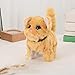 Imagen de Chosertory Juguete Interactivo Animal Electrónico Gato de Peluche Función Móvil Activado por Baterías Tacto Suave Realista para Niños Y Aprendizaje