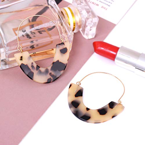 Cealxheny Acrylic Earrings Tortoise Hoop Earrings Statement Wire Resin Earrings Fan Drop Dangle Earring For Women (A Leopard) #TOP3