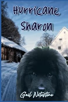 Paperback Hurricane Sharon Book