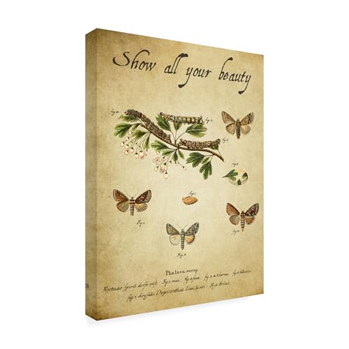 Wrapped Canvas Wall Art - Gail Fraser 'Embracing Change -