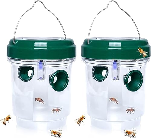 Drosophila trampa LED para moscas avispas y mosquitos Solar LED Fly Traps Outdoor Wasp para Abejas Chaquetas Amarillas 2 Pack (Green-2pc)