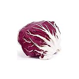 Palla Rosa Radicchio Seeds - 50 Count Seed Pack - Non-GMO - A Common Vegetable Used widely Throughout Italy. Adds a pop of Vibrant Color as Well as a Rich Flavor to Your Dishes. - Country Creek LLC