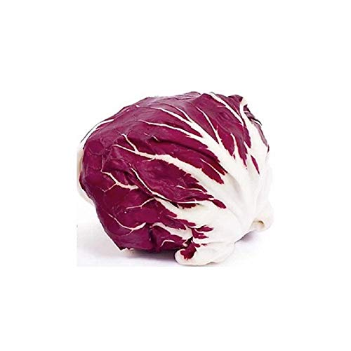 Raddichio Rosa Radicchio plant - How to grow & care