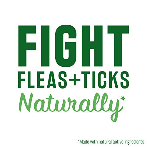 TropiClean Natural Flea and Tick Spray for Home | Maximum Strength Flea Spray for Carpet and Furniture | Family-Friendly… - Image 7