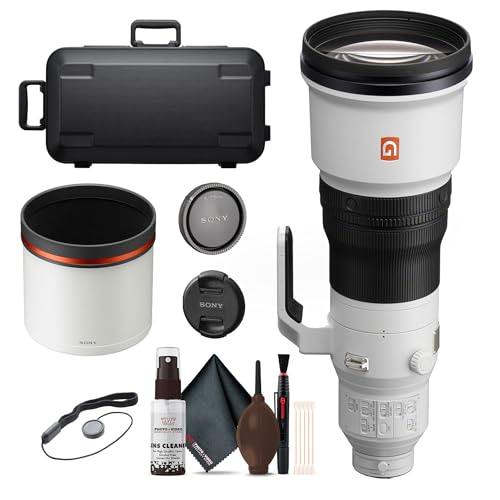 Sony FE 600mm f/4 GM OSS