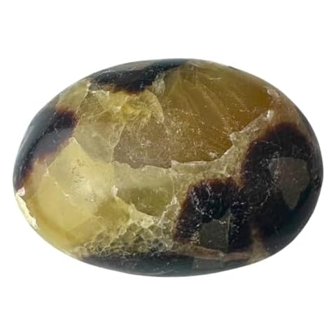 Crystal Joys Septarian Dragon Stone Gallet Polished 2" x 1.5" Cover