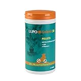 Luposan Gelenk 30 Granulat (1100g)