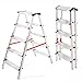 Produktbild Doppelleiter aus Aluminium, Haushaltleiter, Stehleiter, Klapptrittleiter 2x5 Stufen, Belastung bis 125 kg