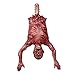 Halloween Party Props Latex Hanging Torso Severed Skinned, Rubber Limbless Hanging Half Body Corpse Haunted House Decorations 40x30x7 inches, Men