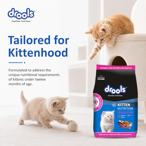 Image of Drools Kitten Dry Cat Food 1.2kg | Ocean Fish Flavour | Promotes Soft Skin & Shiny Coat | Complete Nutrition | Supports Digestion | Aids Growth Development
