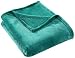 HYSEAS Velvet Throw, Light Weight Plush Luxurious Super Soft and Cozy Fuzzy Anti-Static Throw Blanket for Couch Chair All Seasons, 50" x 60", Teal