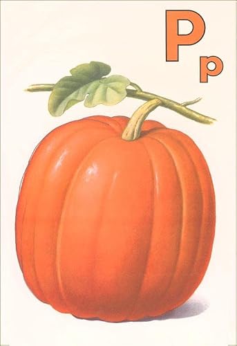 P is for Pumpkin - Vintage Image