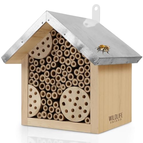 WILDLIFE FRIEND Insektenhotel aus Kiefernholz - Nisthilfe...