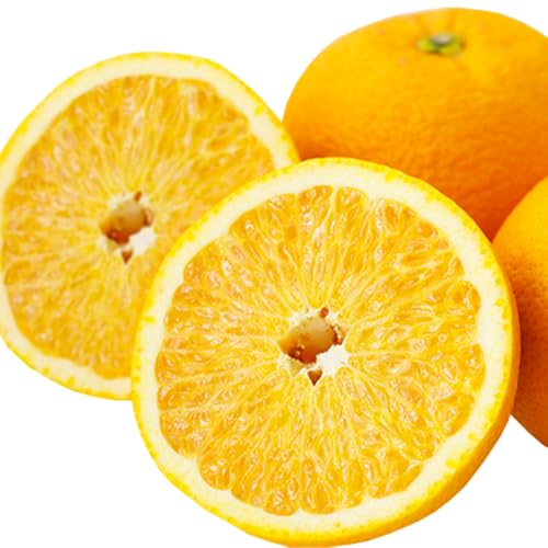 �������Ƃ��ǂ� �a�̎R���Y �ԏG ���� �v�`�b�Ƃ����H���ƃN�Z�ɂȂ�▭�ȊÎ_���ς� (10kg)