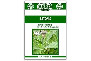 Sage Seeds: Nurture Your Garden with 100 Non-GMO Herb Seeds