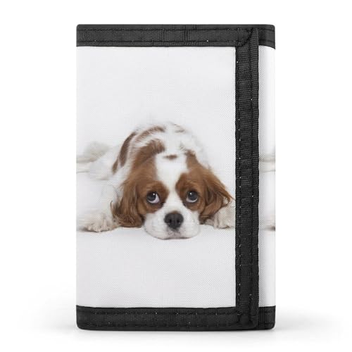 [YINGDAB] O܂z XpjG ~jz J[hP[X z D fB[X Y J[h K Wallet  RpNg e ^ v[g