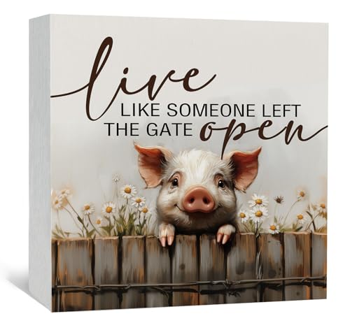 Nitelat FarmHouse Pig Decor Signs, Live Like Someone Left The
