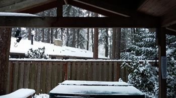 Unknown Binding Call it Sleep Book