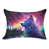 Starry Sky Fantasy Wolf Body Pillow Cover with Zipper,Soft and Cozy Fuzzy Fleece Body Pillow Case Cover 21 x 54 in,Plush Long Body Pillow Pillowcase for Fall and Winter