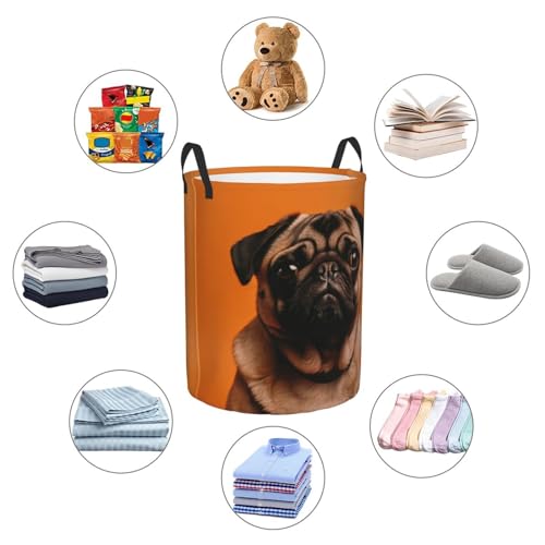 Panier à linge sale pliable imperméable grand modèle carlin autonome d'angle - 5