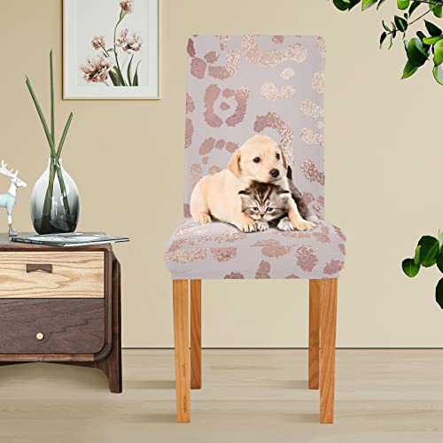 Xigua Rose Gold Leopard Print Chair Covers For Dining Room Set Of 2 Stretchable Dining Chair Slipcover Washable Removable Parsons Chair Slipcover For Kitchen,Hotel,Restaurant #TOP4