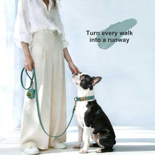 Image of Didog Soft PU Leather Dog Collar for Medium Dogs, Quick Release, Green M