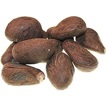 Fair Trade Ecuador Tagua Nuts | Vegan Ivory | XL 70mm+ /7cm+ 2.75"+