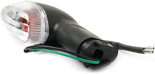 Miniatura 6 de Conjunto de luces intermitentes delanteras y traseras para motocicleta YAMAHA YBR125 YS125 XT125 YBR XT 125 YS 250 FZ FZ16 Luz indicadora de señales