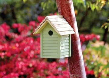 AOC24 Garden Fence Paint 250ml – Multi-Surface Exterior Paint for Wood, Brick, Metal, Stone & Terracotta – Waterproof, Resists Fading, Matt Finish for Sheds, Fences, Saplin Green